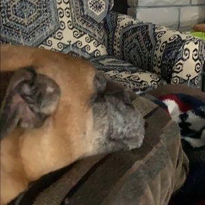 Meet your Posher, Jim